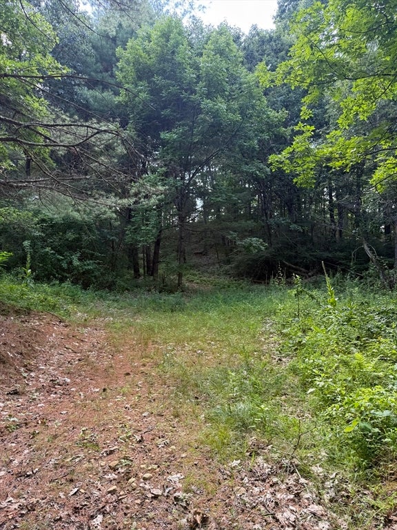 293 Warren Rd