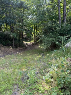 293 WARREN RD, BRIMFIELD, MA 01010 - Image 96b2be8162cf4cda7c32e024dc473c78/4182957730