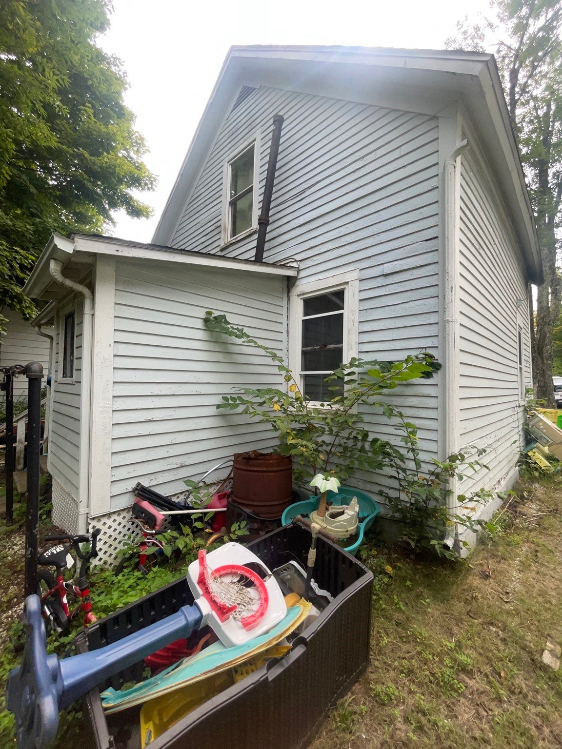 31 Eddy St