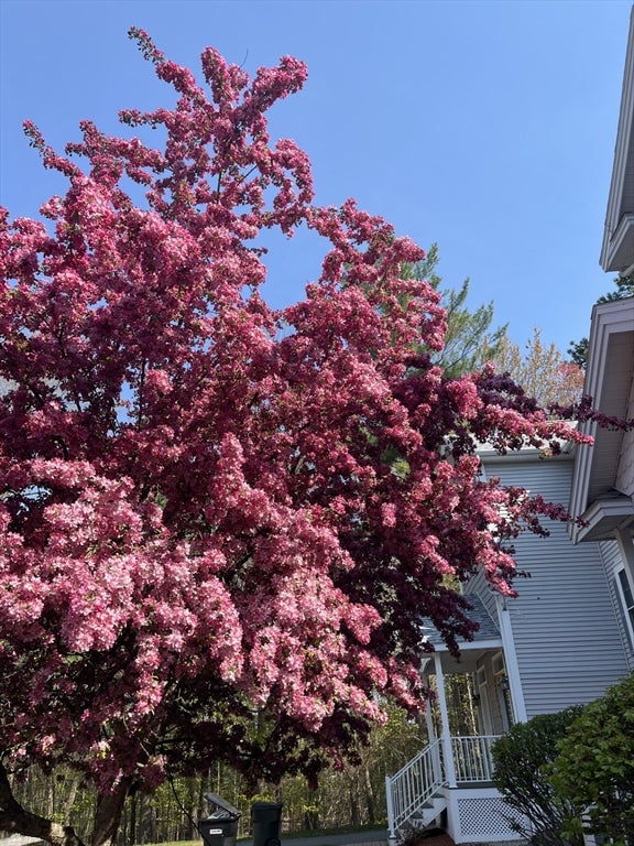4 Georgetowne DR #4, Nashua, NH, 4 Georgetowne DR #4, Nashua, NH Photo #38