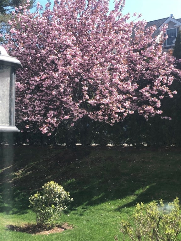4 Georgetowne DR #4, Nashua, NH, 4 Georgetowne DR #4, Nashua, NH Photo #39