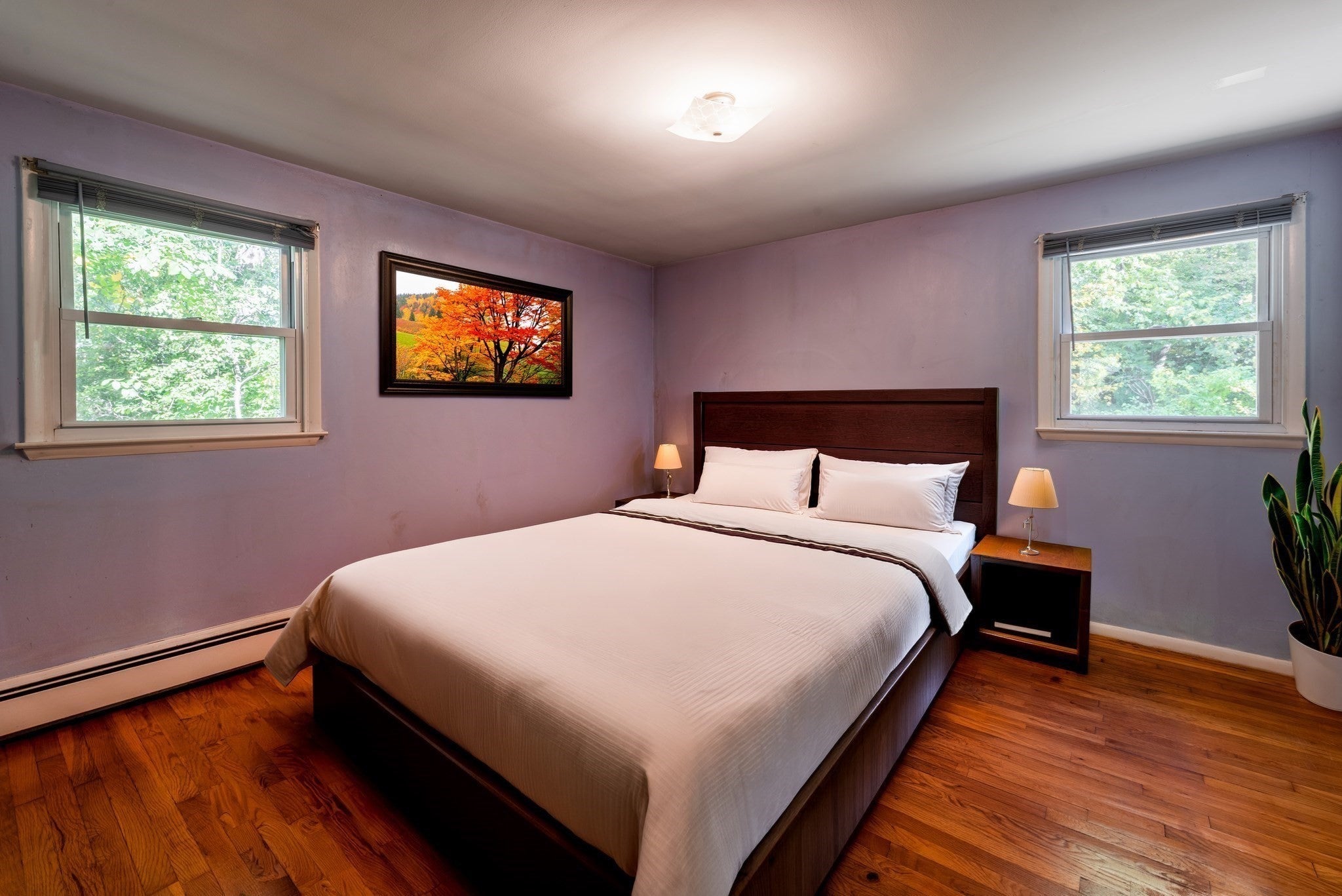 156 Walnut Street, Reading, MA, 156 Walnut Street, Reading, MA Photo #20
