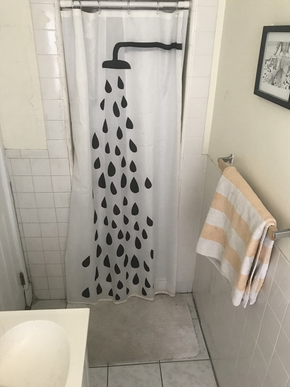 279 Harvard St #23, Cambridge, MA Photo #7