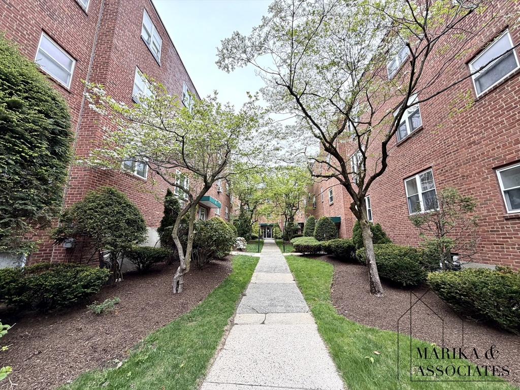 57 Colborne Road #3, Boston, MA, 57 Colborne Road #3, Boston, MA Photo #12