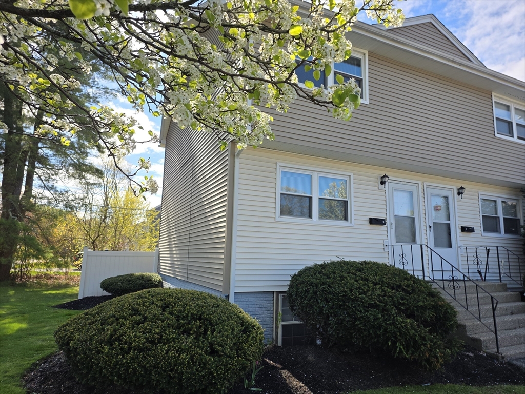 174 Pine Street 1