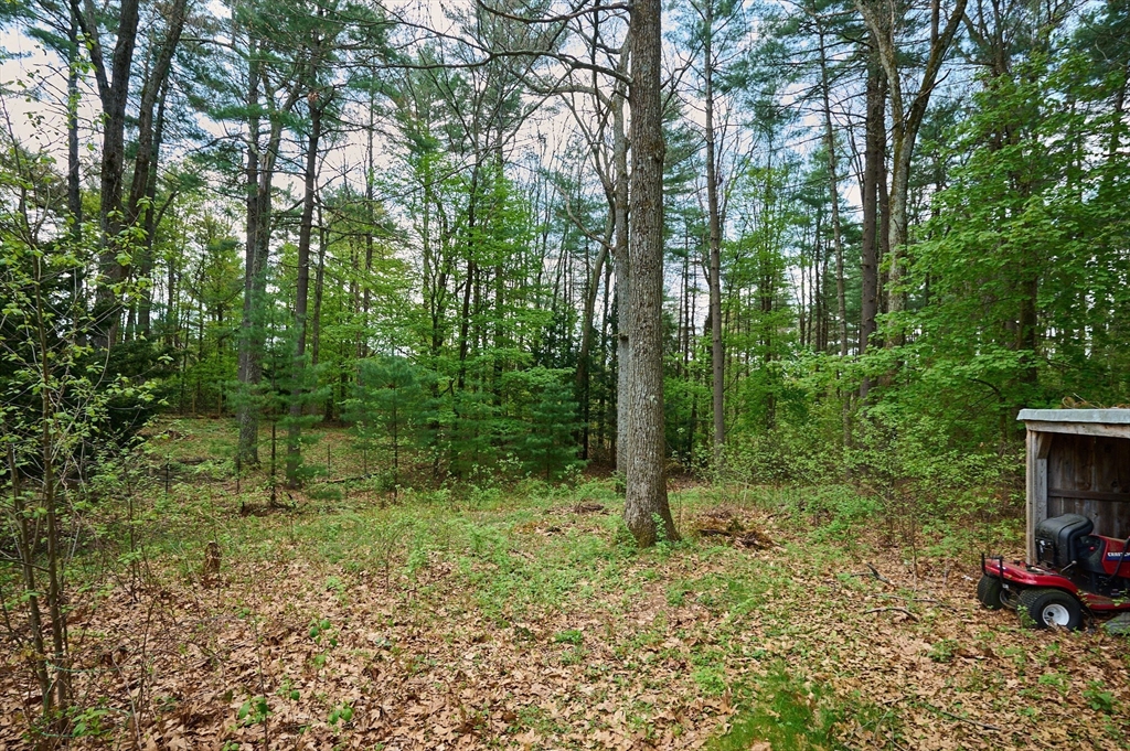 12 Pomeroy St, Easthampton, MA, 12 Pomeroy St, Easthampton, MA Photo #32