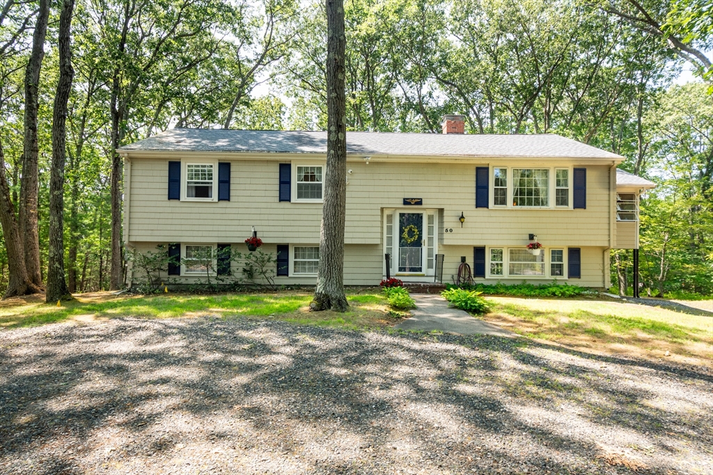 50 County Rd