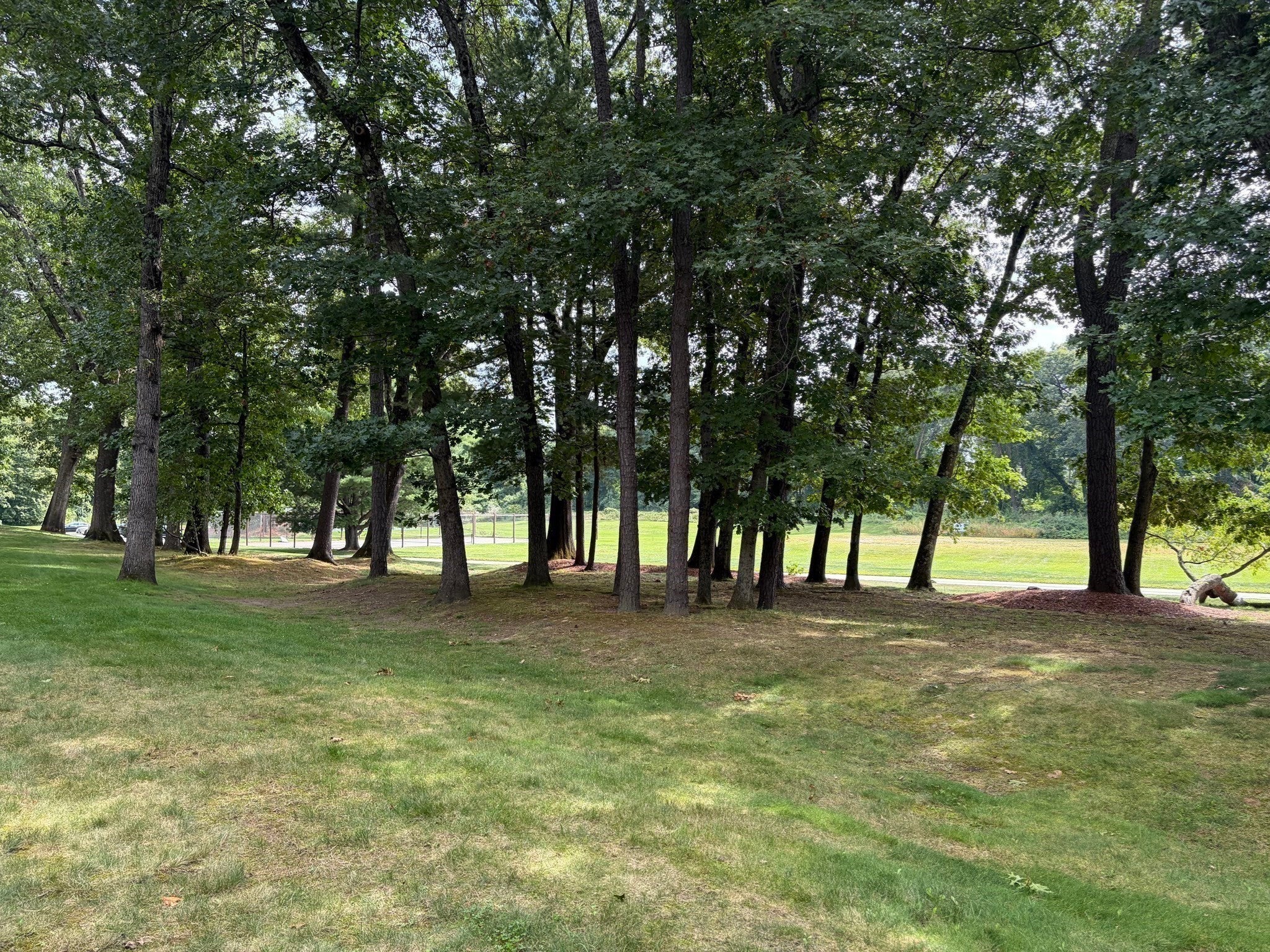 178 Wellman Ave #178, Chelmsford, MA, 178 Wellman Ave #178, Chelmsford, MA Photo #20