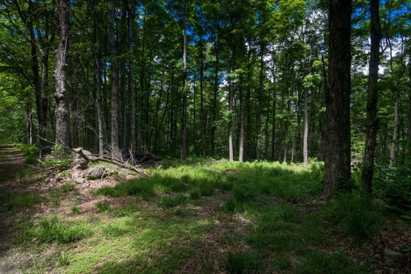 91 LYNES RD, CHESTER, MA 01011 - Image 98580f8dbfaee5986d28086f2a2df5ab/485728254