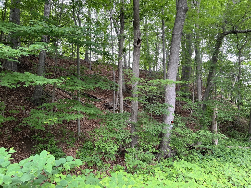 Lot 114 Bark Haul Rd