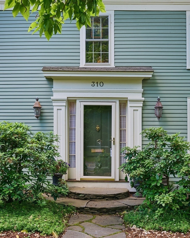 310 South St