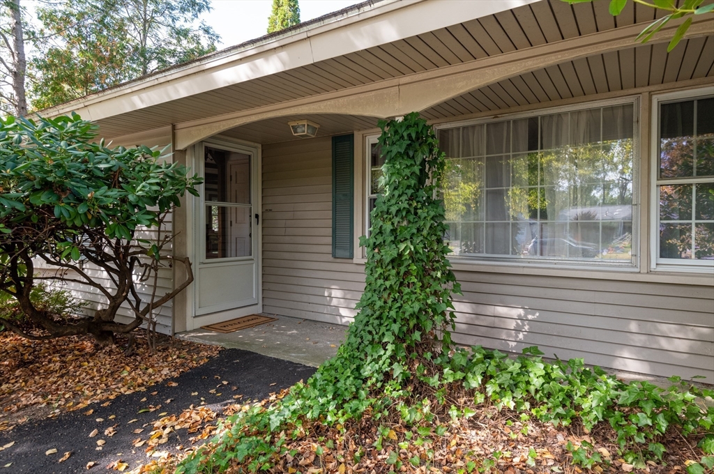 10 Colgate St
