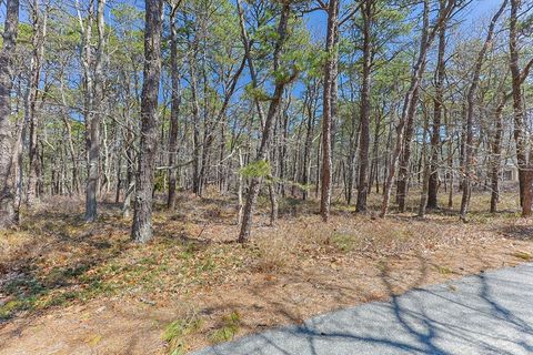 Photo of 175 Delphi Path, Wellfleet, MA 02667 (MLS # 73515383)