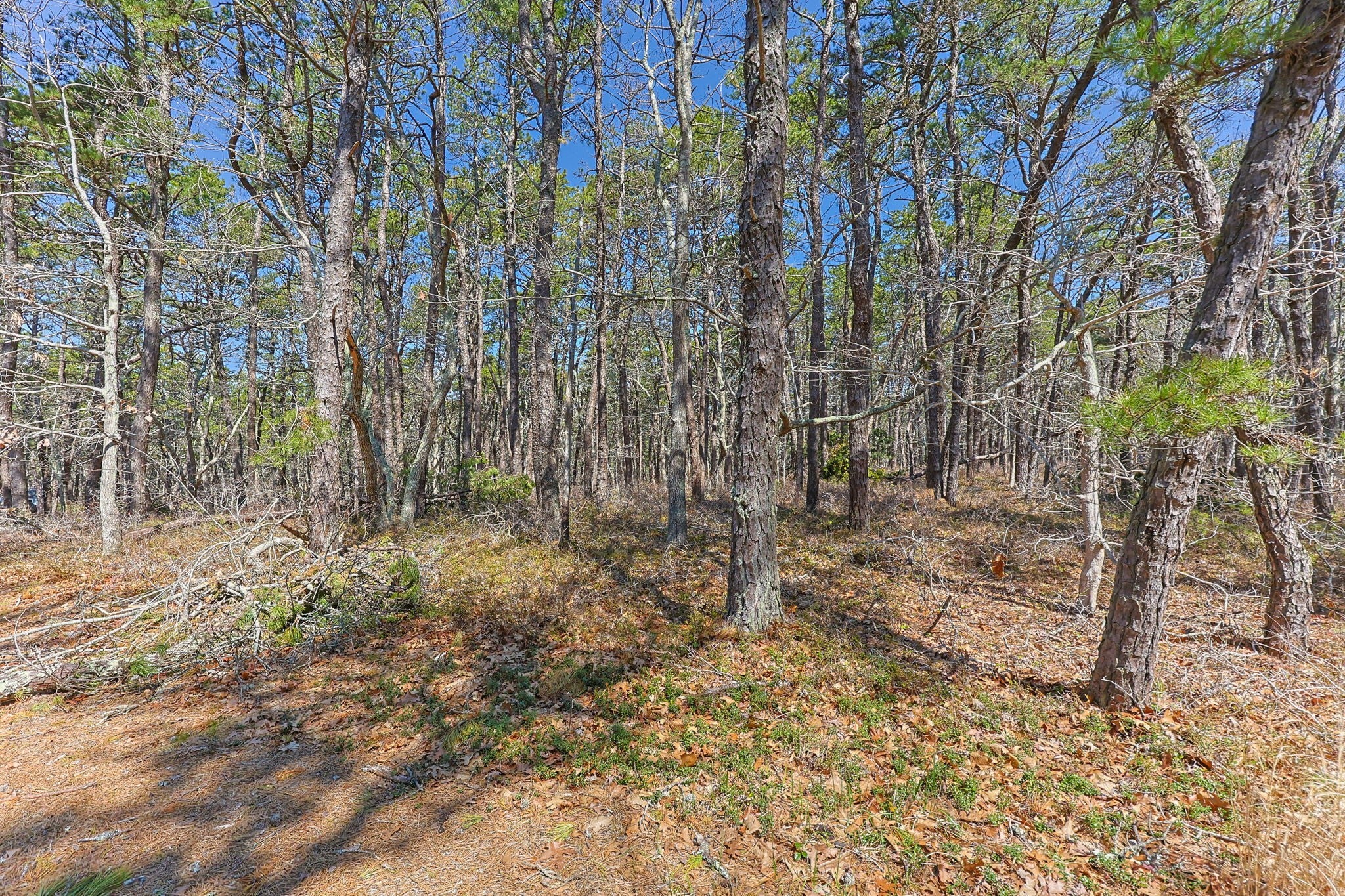 175 Delphi Path