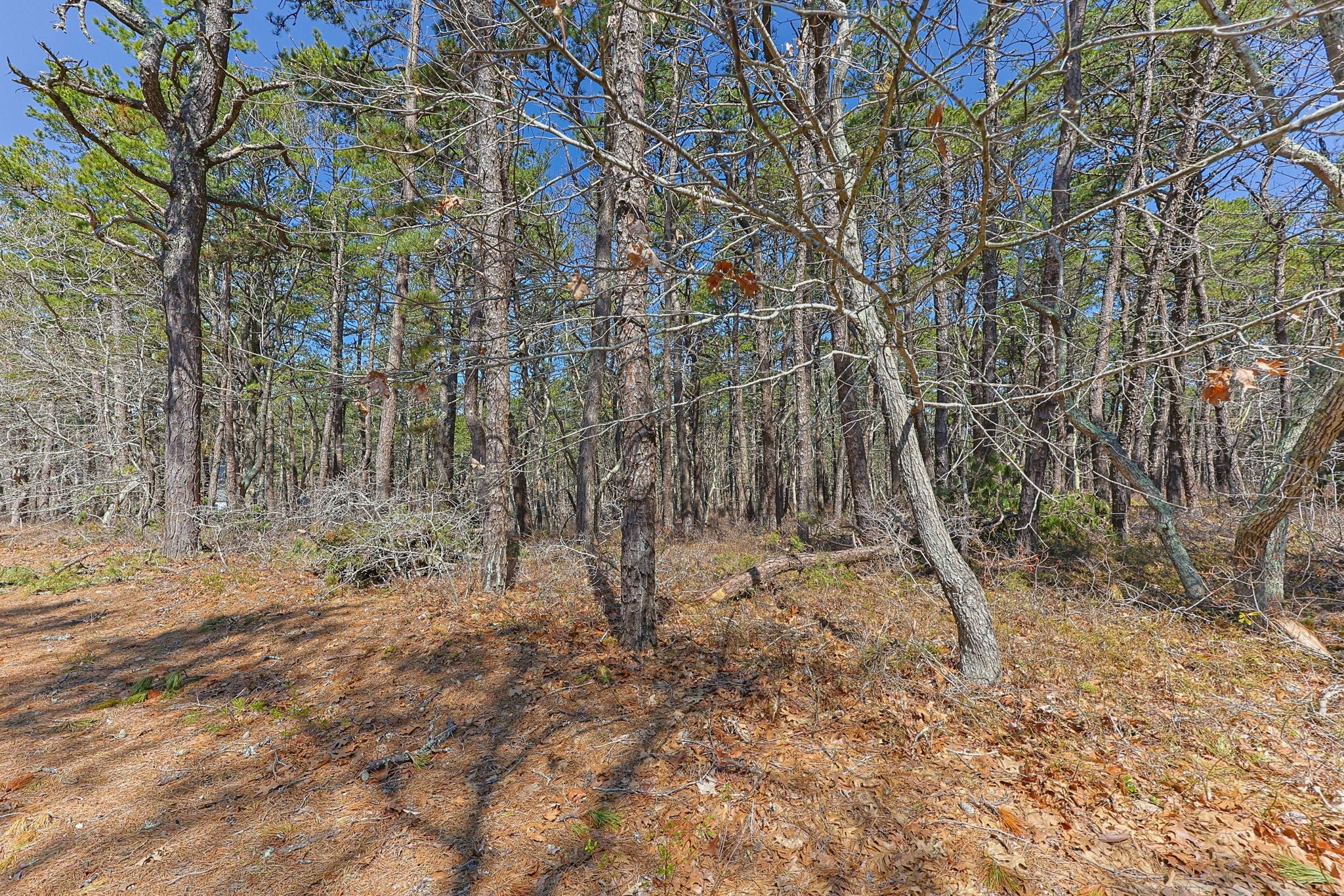 175 Delphi Path
