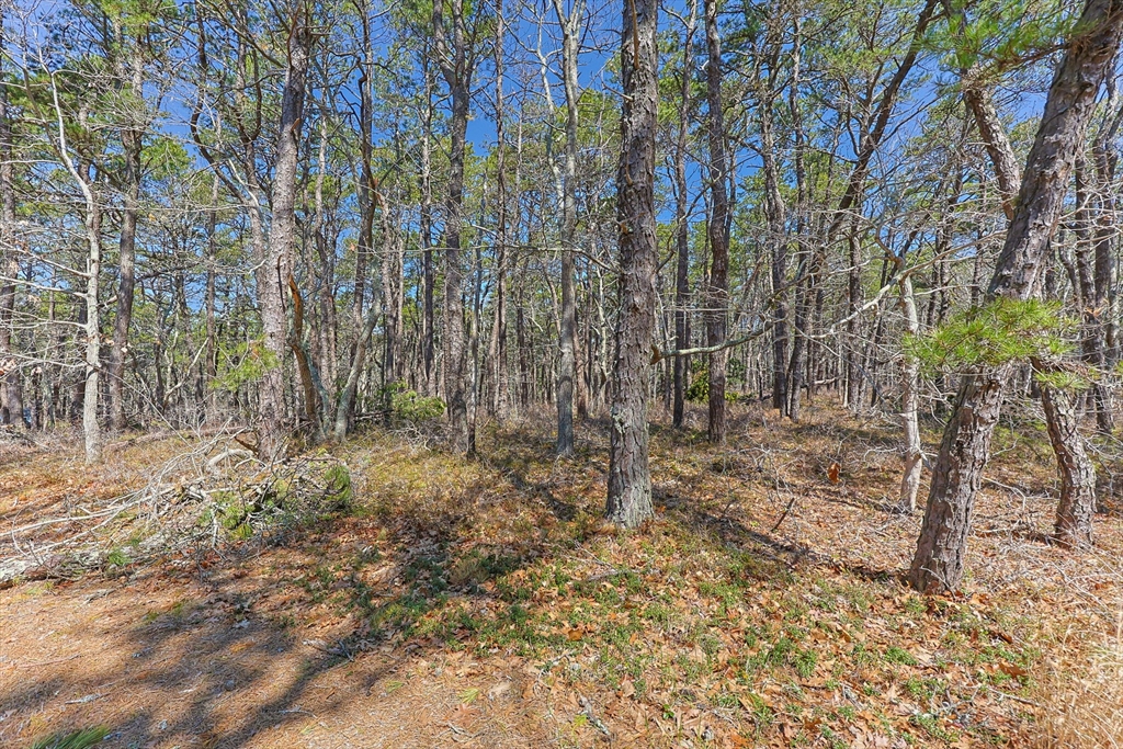 175 Delphi Path