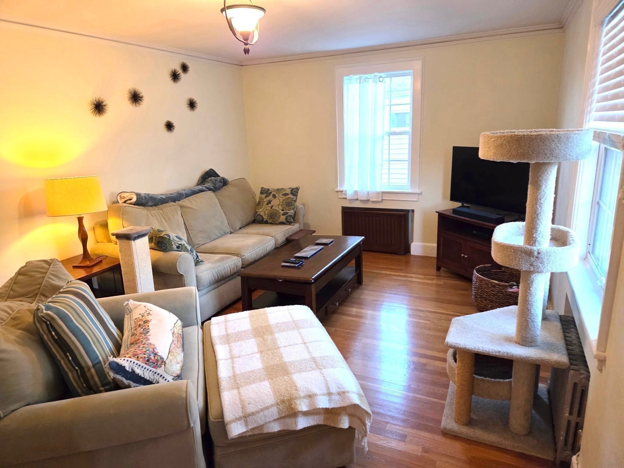 48 Mary Street #2, Arlington, MA, 48 Mary Street #2, Arlington, MA Photo #5
