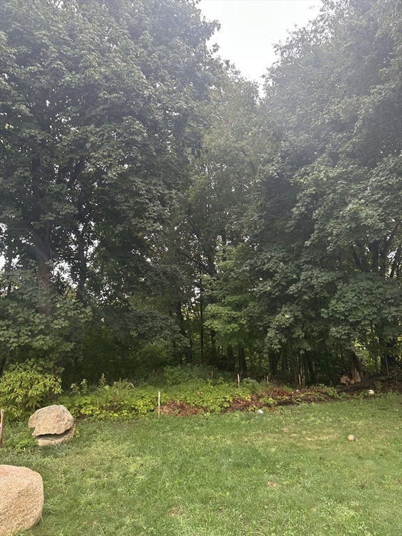Lot 1 Hammond Street