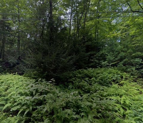 Photo of 60 Lakeshore Dr, Monson, MA 01057 (MLS # 73439701)