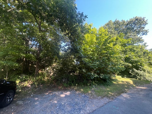 16 DANFORTH ST, CANTON, MA 02021 - Image 98b6476b9f3a6bfab2a3758b718ddbbc/903661226