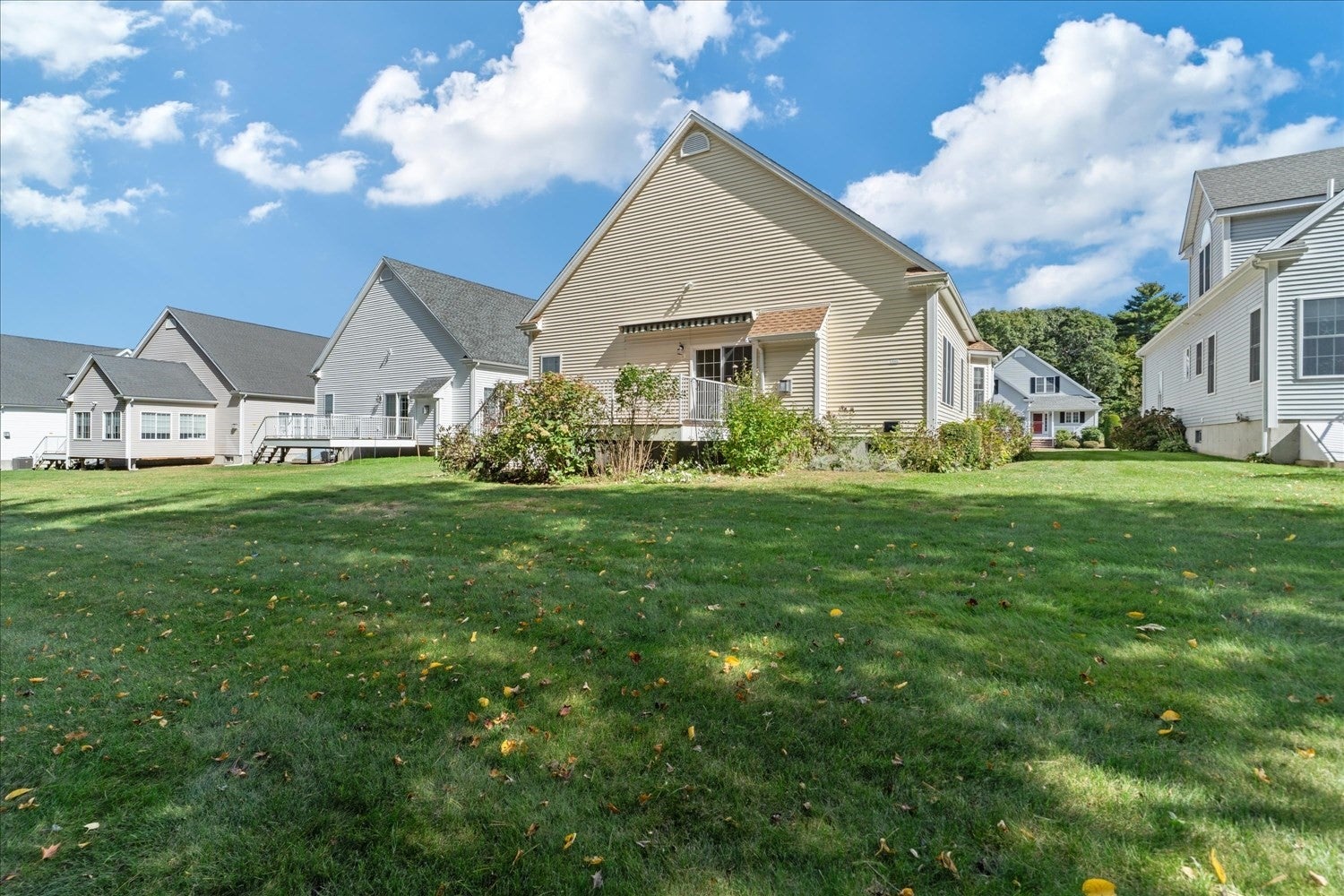 51 Lawrence Dr 51