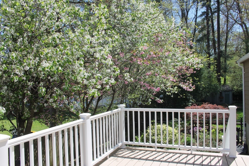9 Fernglade Rd
