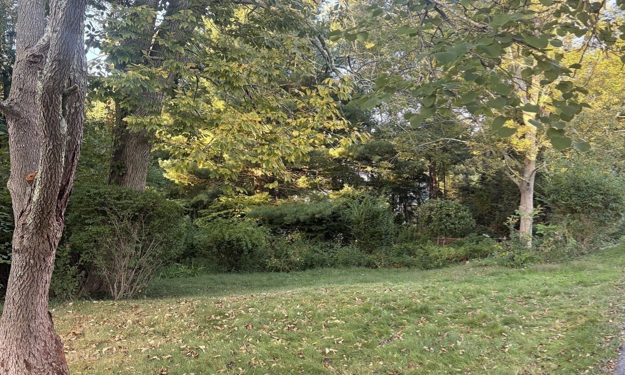 535 Harvard Street, Whitman, MA, 535 Harvard Street, Whitman, MA Photo #33