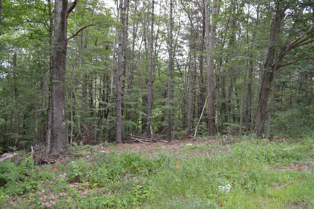 Lot 1 Sandersdale Rd