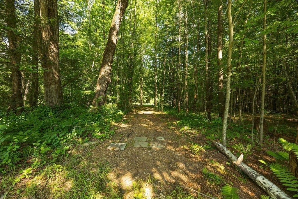 60 Main Rd, Westhampton, MA, 60 Main Rd, Westhampton, MA Photo #36