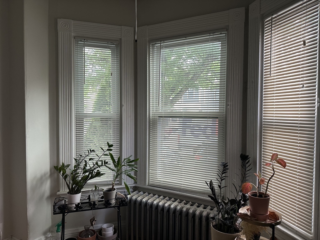 51 College Ave #1, Somerville, MA Photo #9