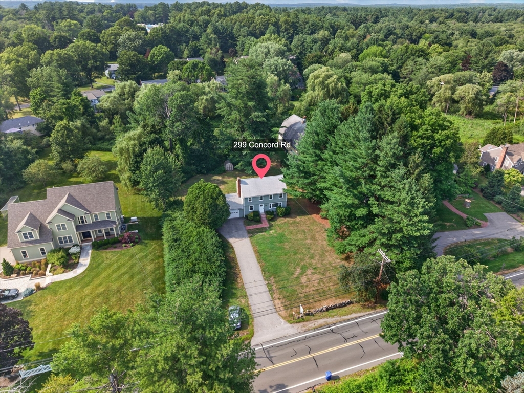 299 Concord Road
