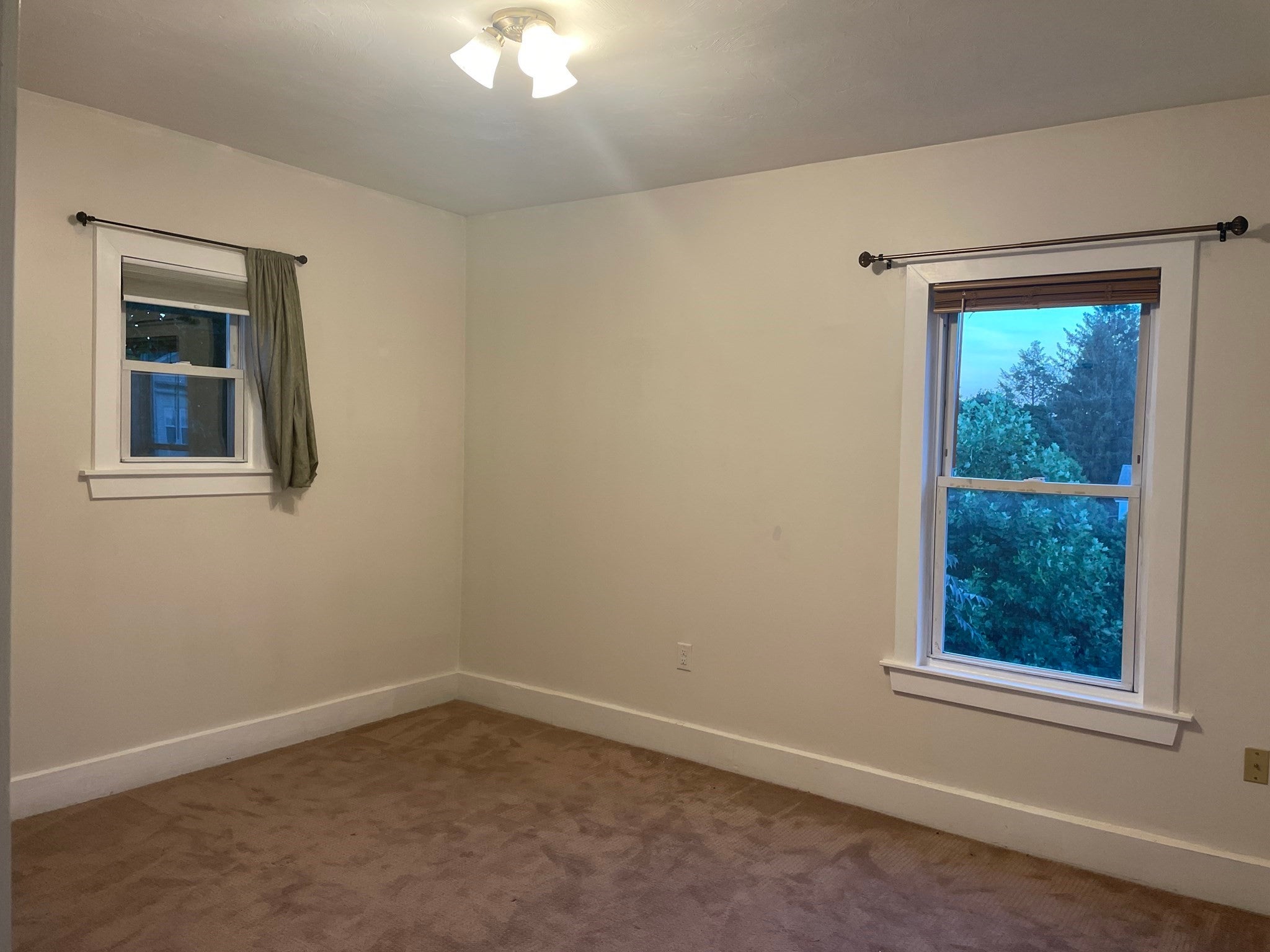 15 Carlstad St, Worcester, MA Photo #18