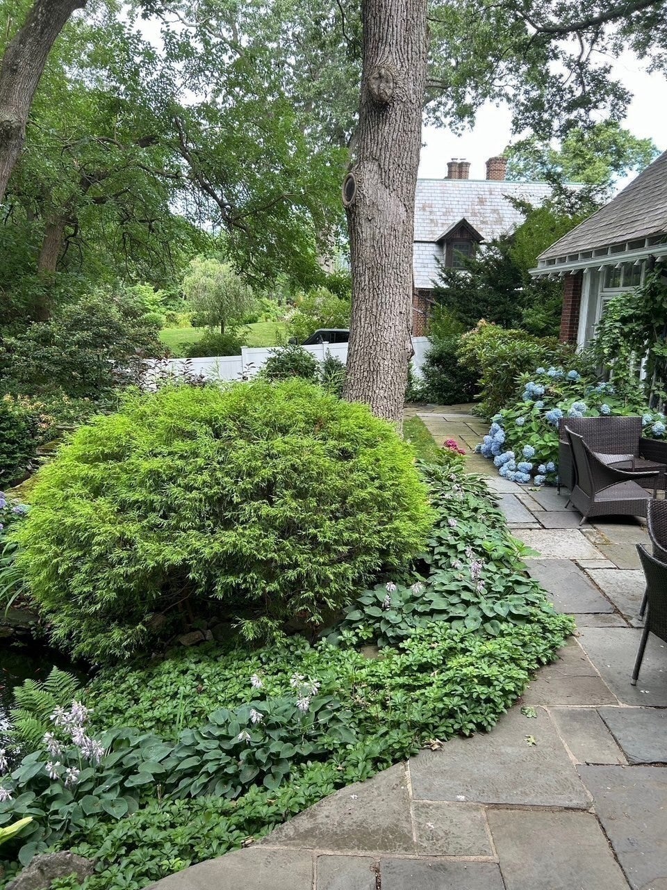 115 Aspen Ave, Newton, MA, 115 Aspen Ave, Newton, MA Photo #34