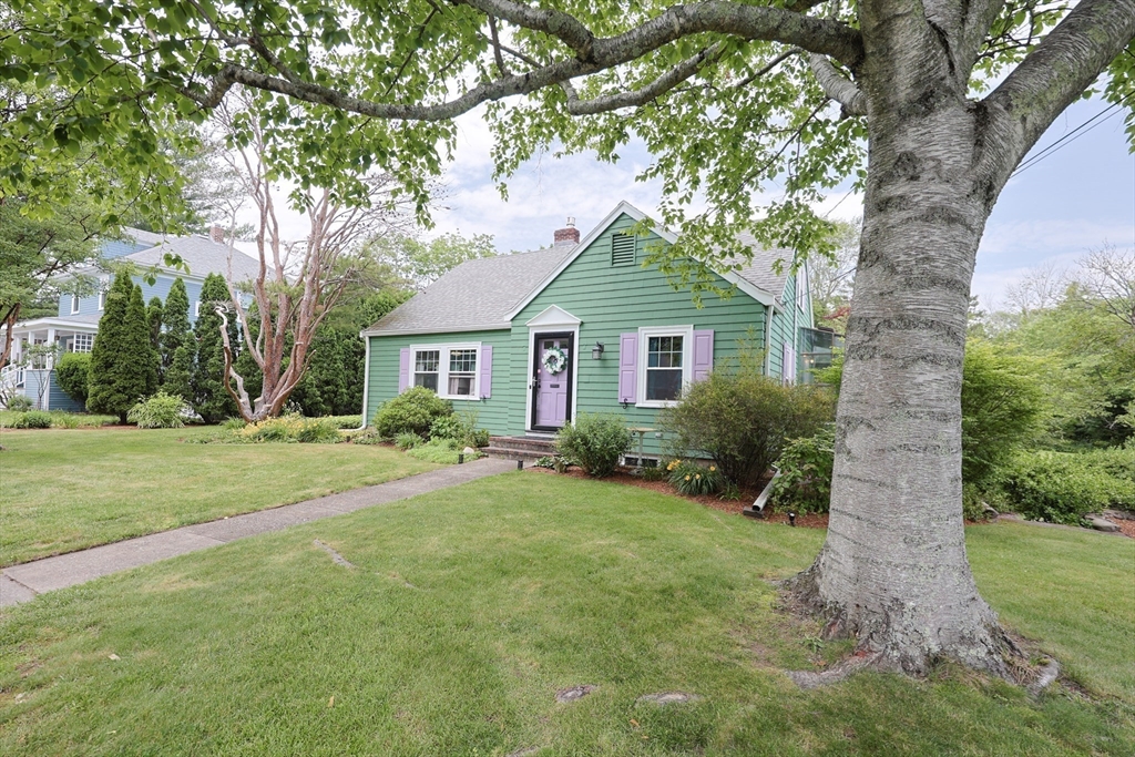 8 Hazelwood Ave