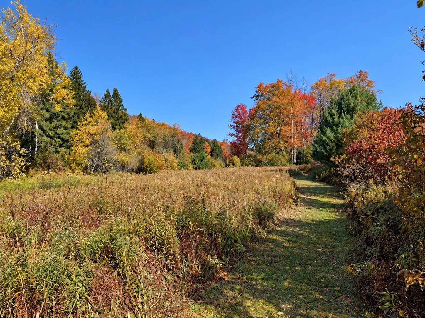 65 Parish Road, Worthington, MA Photo #41
