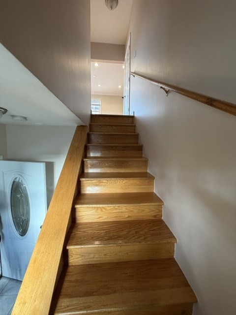 241 Lexington Street 0