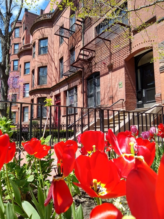 399 Marlborough Street C