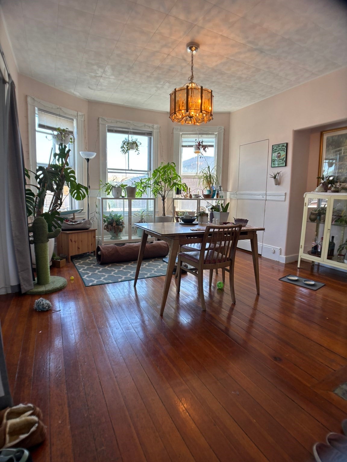 77 Bigelow Avenue #2, Watertown, MA, 77 Bigelow Avenue #2, Watertown, MA Photo #2
