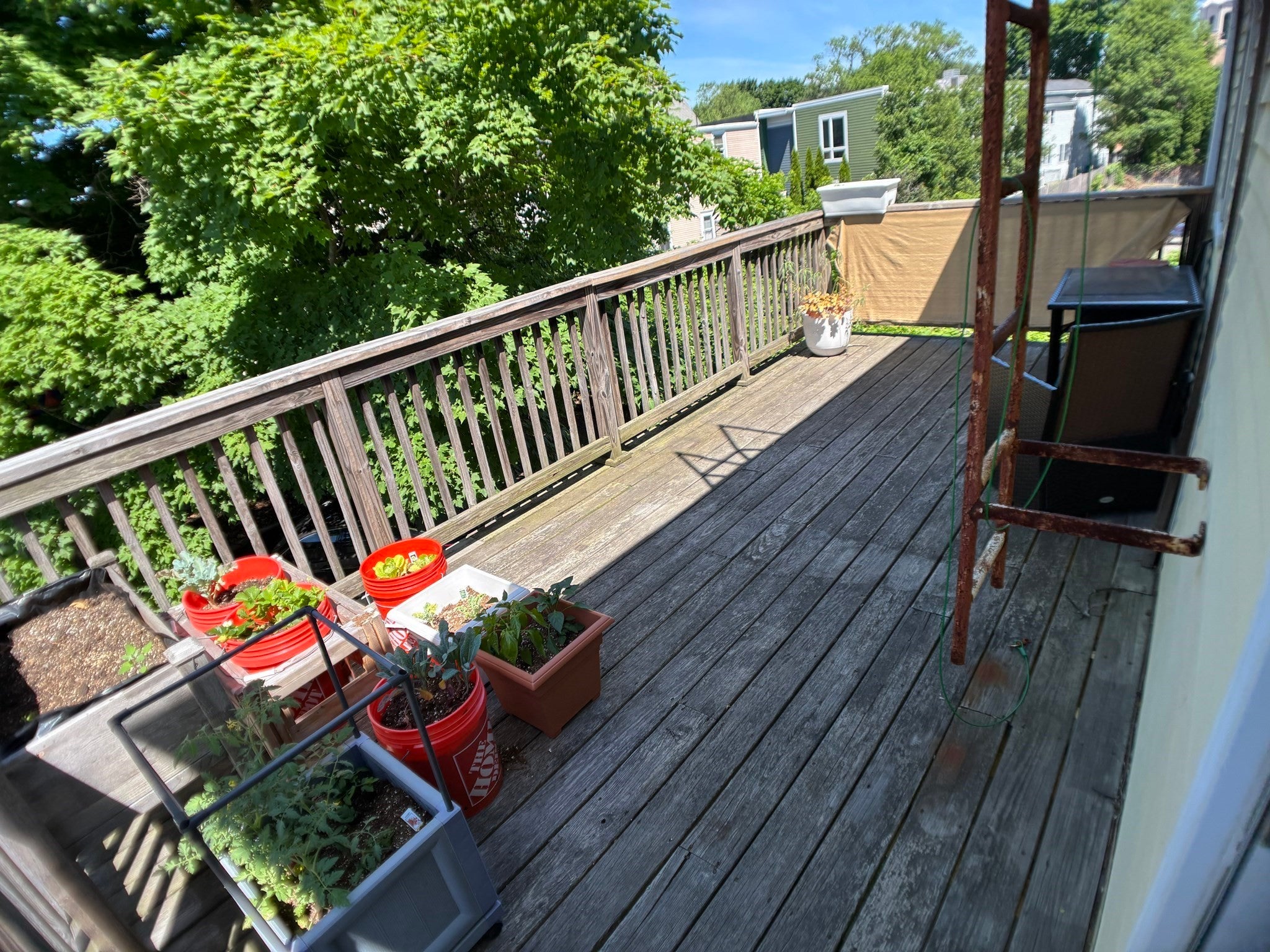 77 Bigelow Avenue #2, Watertown, MA, 77 Bigelow Avenue #2, Watertown, MA Photo #9