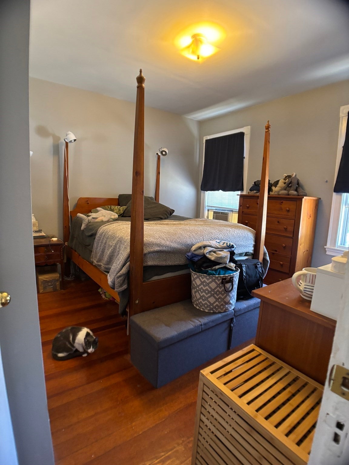 77 Bigelow Avenue #2, Watertown, MA, 77 Bigelow Avenue #2, Watertown, MA Photo #4