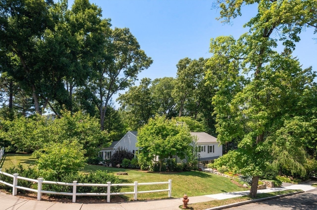 19 Druid Hill Rd