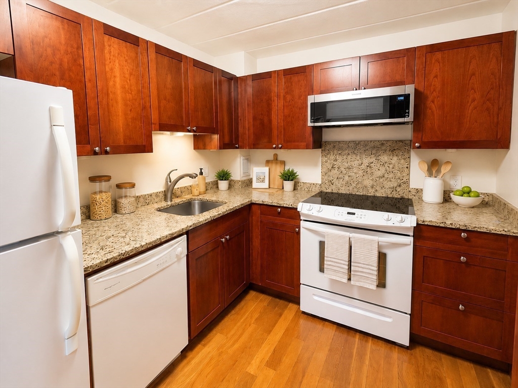 345 Harvard St #3B, Cambridge, MA Photo #5