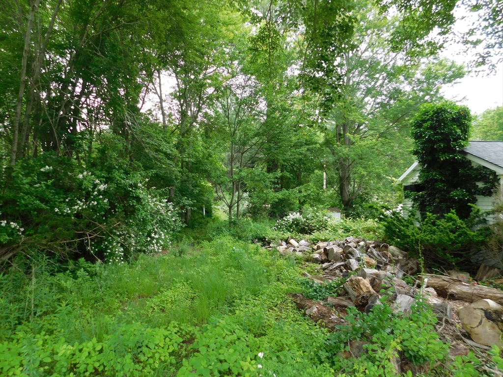 111 Oak St