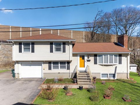 4 Park River Street Needham MA 02494