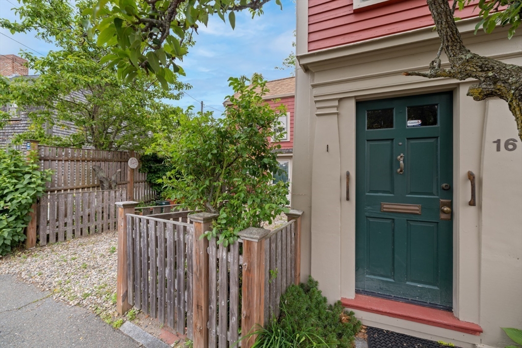 16 Pine St