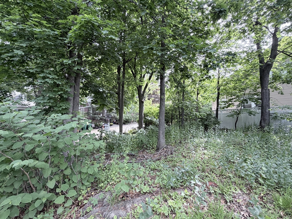 Lot 201 Rock Glen