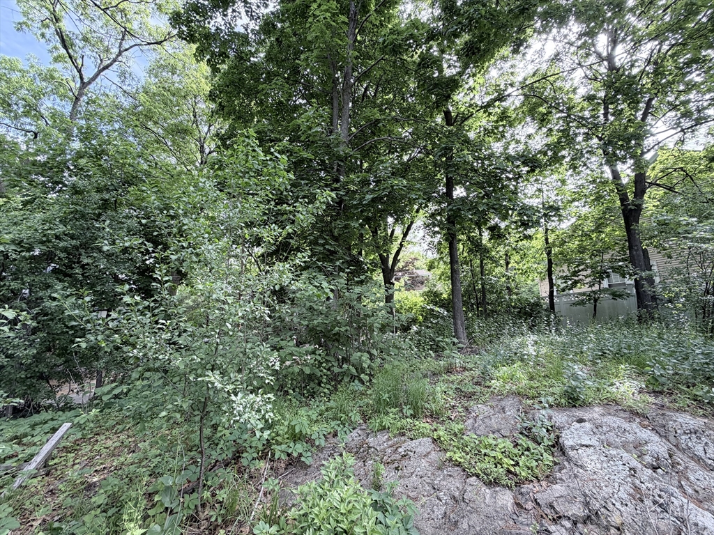 Lot 201 Rock Glen