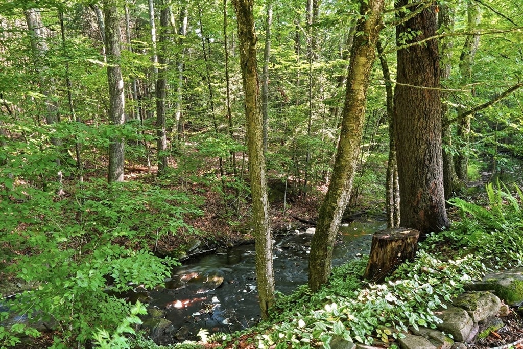43 Birches Rd, Hubbardston, MA, 43 Birches Rd, Hubbardston, MA Photo #33