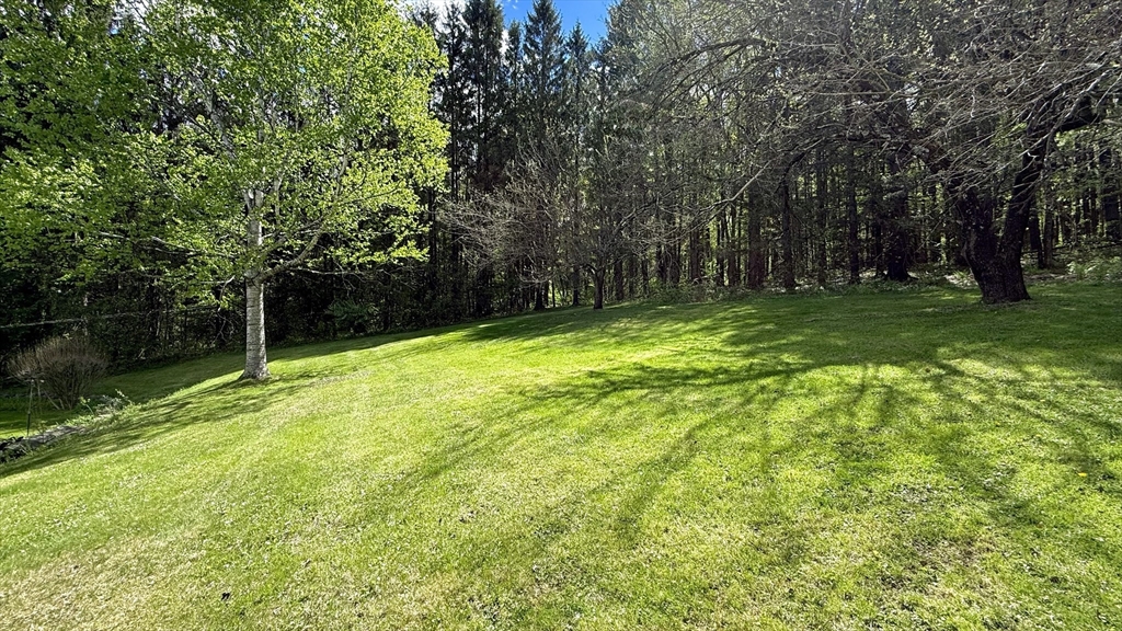 81 Clinton Rd