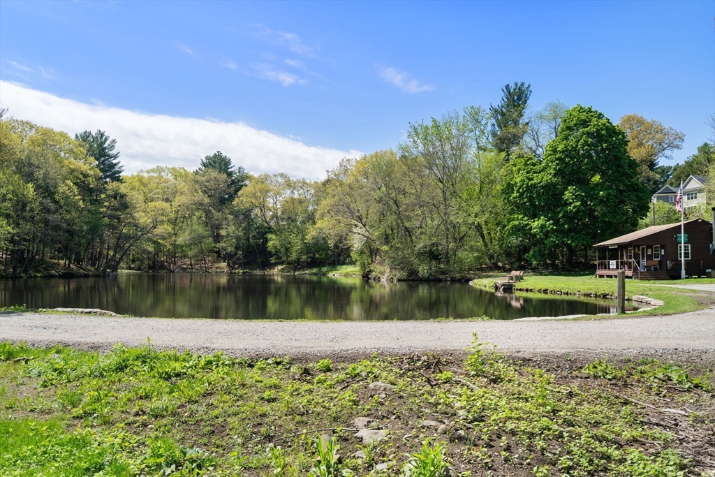 1360 Great Plain Ave, Needham, MA Photo #28